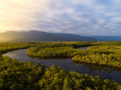 Superfície de água encolheu em países amazônicos