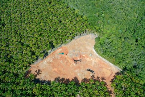 Brasil perdeu 96 milhões de hectares desde 1985, aponta MapBiomas
