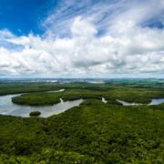 Desmatamento na Amazônia cai em setembro, aponta o Inpe