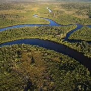 Fundo Amazônia recebe as primeiras doações dos EUA e da Suíça