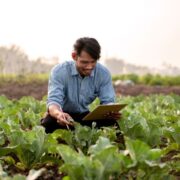 Artigo: 5 tendências para o agronegócio em 2024