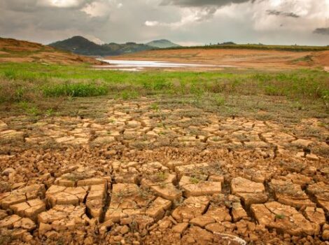 Desertificação agrava o problema das secas no Brasil