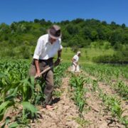 Projeto impulsiona a agricultura familiar na região do Centro-Oeste