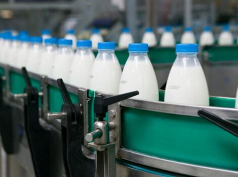 Nova linha de financiamento irá fortalecer o setor leiteiro