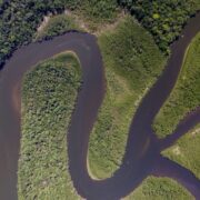 Entidade aposta em projetos voltados ao ecossistema da Amazônia