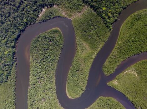 Entidade aposta em projetos voltados ao ecossistema da Amazônia