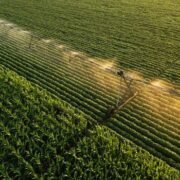 BNDES libera mais de R$ 6 bilhões para apoiar agronegócio