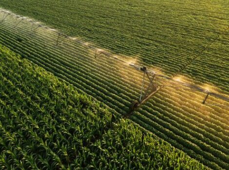 BNDES libera mais de R$ 6 bilhões para apoiar agronegócio