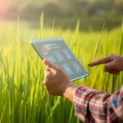 5 lições do universo digital para profissionais do agronegócio