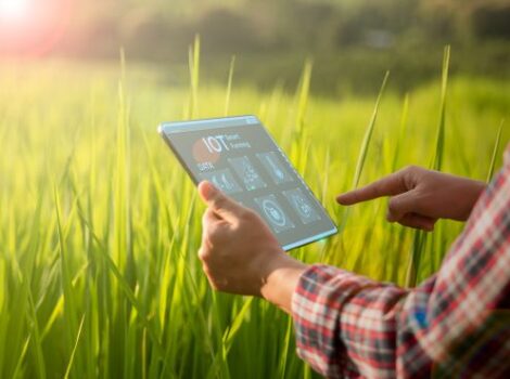 5 lições do universo digital para profissionais do agronegócio