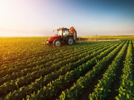 Agropecuária impulsiona crescimento da economia