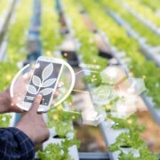 Huawei quer facilitar a transformação digital da agricultura na AL