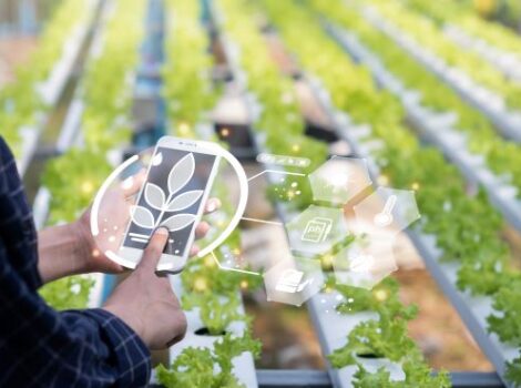 Huawei quer facilitar a transformação digital da agricultura na AL