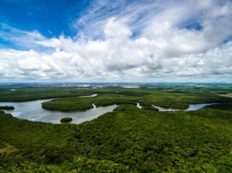 Programa vai combater desmatamentos e incêndios na Amazônia