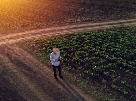 Exportações do agronegócio brasileiro batem recorde