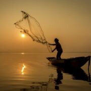 Brasil conquista dois novos mercados para pescados na Índia