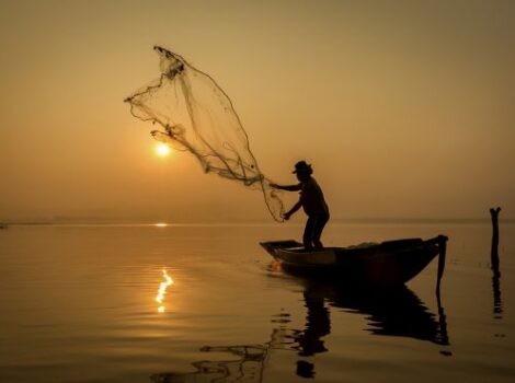 Brasil conquista dois novos mercados para pescados na Índia