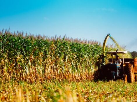 Produtores rurais podem renegociar dívidas do crédito rural até dia 31 de maio