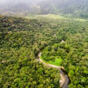 BNDES anuncia escolhidos para o projeto Restaura Amazônia