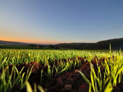 Fundos privados de investimento no agro crescem até 174%