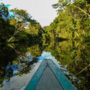 Ipam lança plataforma sobre desmatamento na Amazônia