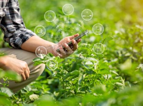 Agrotech 2024 promove encontro sobre inovação e tecnologia