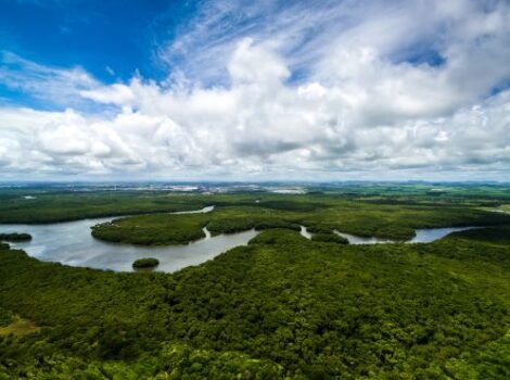 Amazônia: plano Amas é fortalecido com injeção de R$ 318 mi