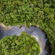 Noruega repassa mais de R$ 270 mi ao Fundo Amazônia