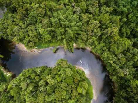 Noruega repassa mais de R$ 270 mi ao Fundo Amazônia