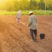 Inclusão Produtiva amplia crédito rural para famílias