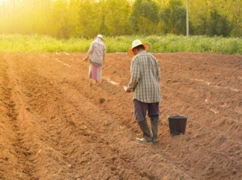 Inclusão Produtiva amplia crédito rural para famílias