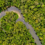 UE fará doação de R$ 120 milhões ao Fundo Amazônia
