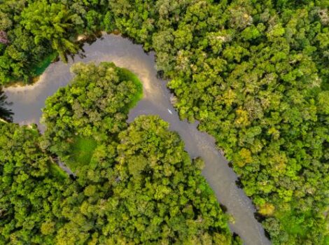 UE fará doação de R$ 120 milhões ao Fundo Amazônia