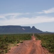 Desmatamento no Cerrado cai 29% no primeiro semestre