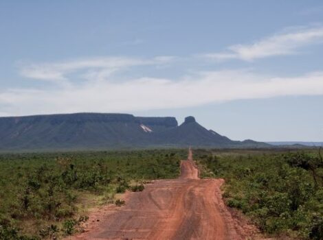 Desmatamento no Cerrado cai 29% no primeiro semestre