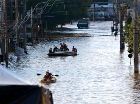 Artigo: Recuperação do agronegócio no Rio Grande do Sul