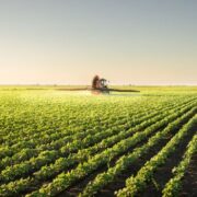 Agro brasileiro avança em negociações com a Coreia do Sul