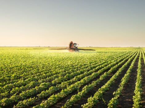 Agro brasileiro avança em negociações com a Coreia do Sul