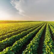 Agricultura tropical: solução contra insegurança alimentar e mudanças climáticas