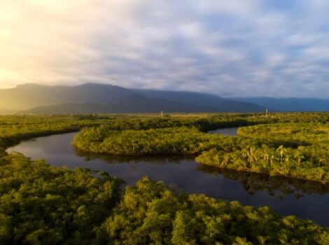 Amazônia recebe investimentos de R$ 500 milhões para desenvolvimento científico