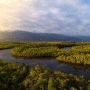 Alertas de desmatamento na Amazônia caem 10,6% em agosto