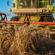 Entenda a importância da manutenção preventiva de máquinas agrícolas