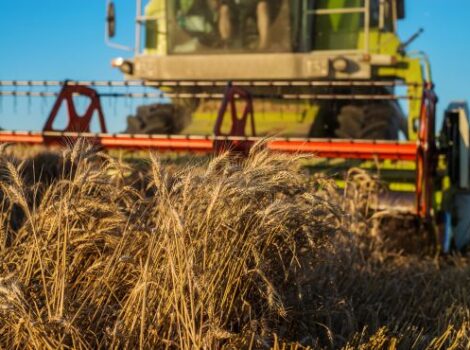 Entenda a importância da manutenção preventiva de máquinas agrícolas