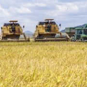 Levantamento elege os municípios mais ricos do agronegócio em 2023