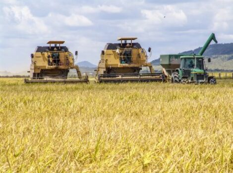 Levantamento elege os municípios mais ricos do agronegócio em 2023