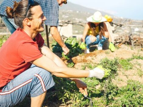 Governo tem linha de microcrédito para agricultura familiar