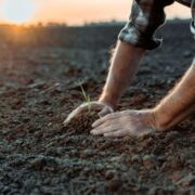 Agro: ministério tem crédito extraordinário para apoiar o RS