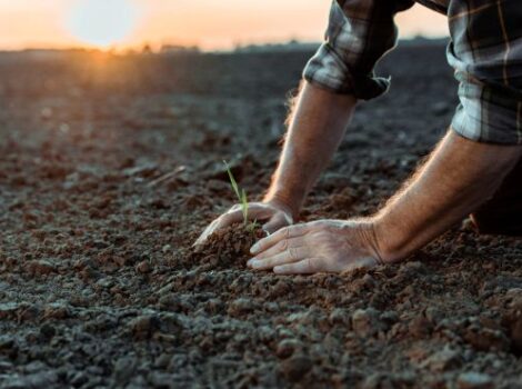 Agro: ministério tem crédito extraordinário para apoiar o RS