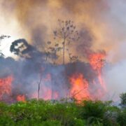 MP autoriza R$ 514 milhões para combate aos incêndios na Amazônia