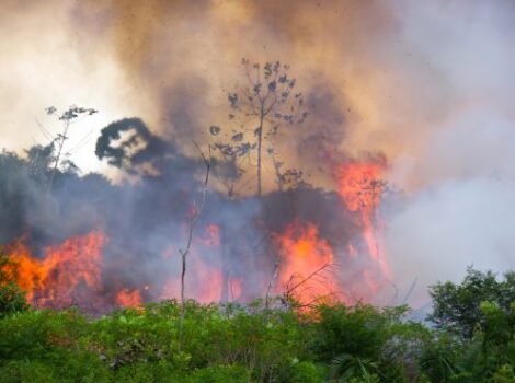 MP autoriza R$ 514 milhões para combate aos incêndios na Amazônia